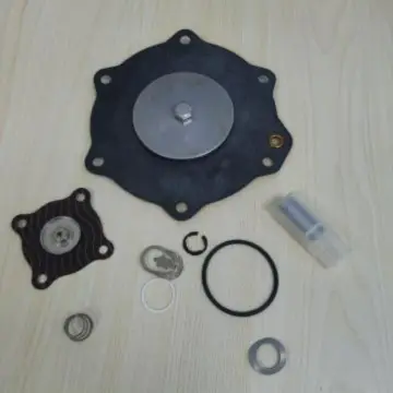 ASCO pulse valve repair kit, C113685