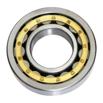 SKF cylindrical roller bearing, brass cage, NU 1010 ML