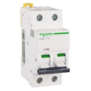Schneider Electric miniature circuit breaker iC65N(A9) 2P 1A Type C, A9F18201