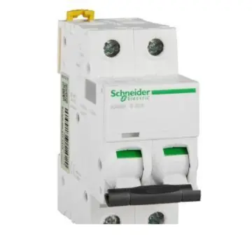 Schneider Electric miniature circuit breaker iC65H(A9) 2P 32A Type D, A9F29232