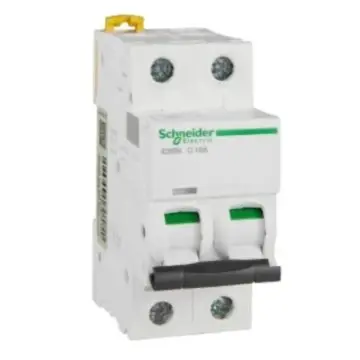 Schneider Electric miniature circuit breaker iC65N(A9) 2P 10A Type C, A9F18210