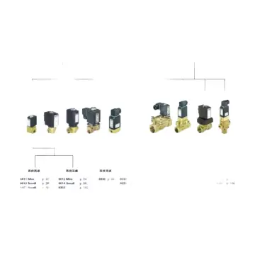 Burkert valves (Germany)