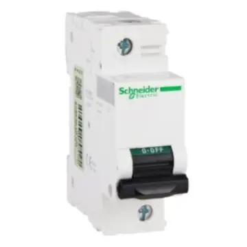 Schneider Electric Miniature Circuit Breaker C120H(A9) 1P 100A Type C, A9N19816